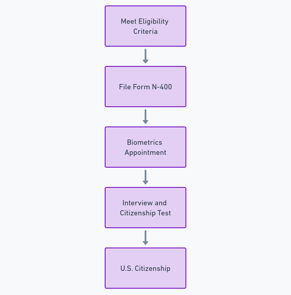 U.S. Citizenship Naturalization Process