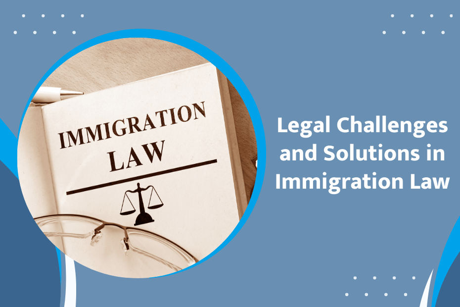 Legal Challenges and Solutions in Immigration Law